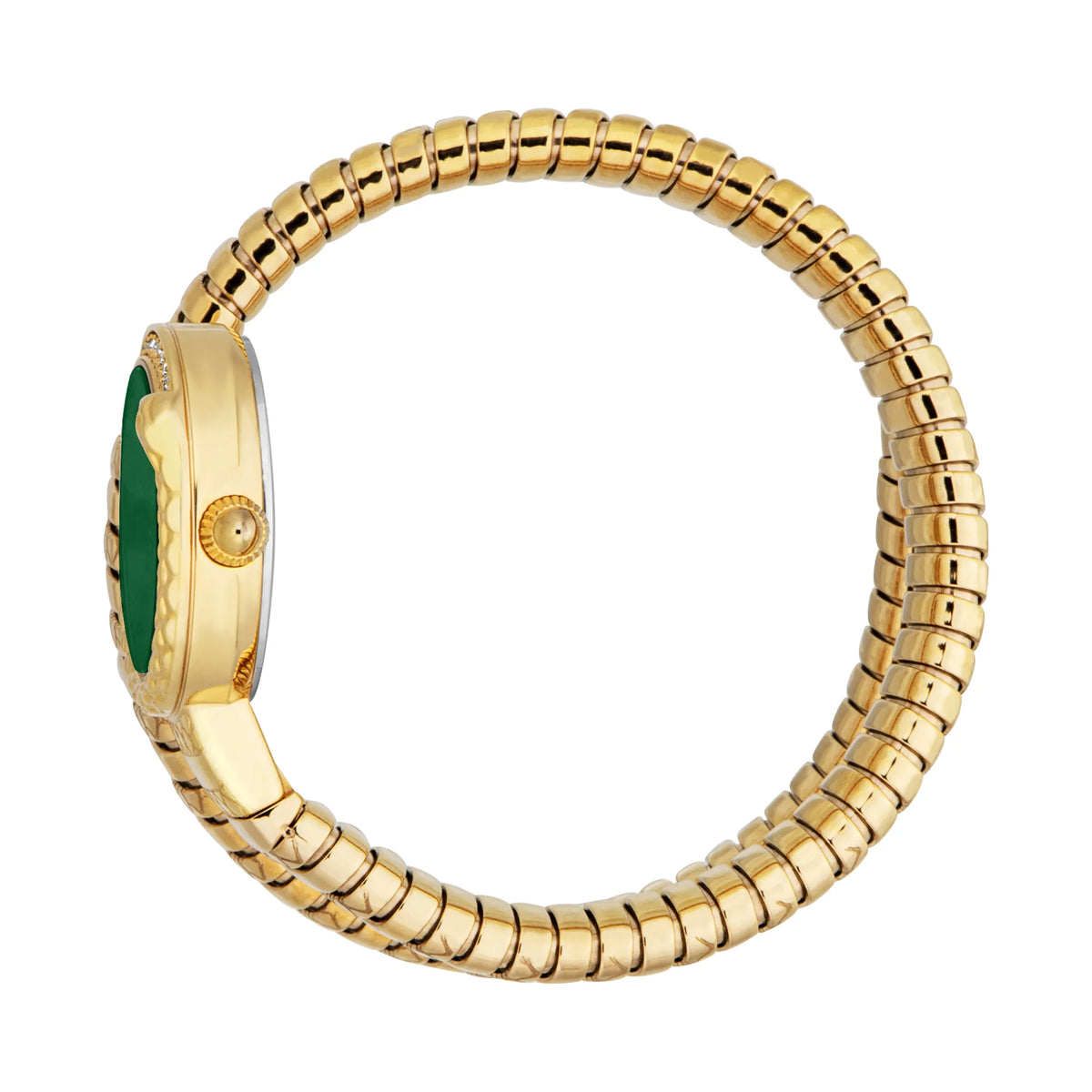 Just Cavalli Just Cavalli Signature Snake Cerchio Snake Yellow Gold Bottle Green — immagine 3