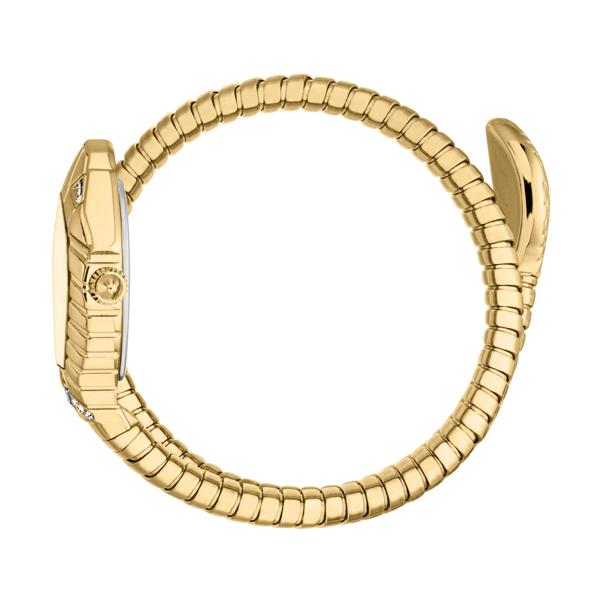 Just Cavalli Just Cavalli Signature Snake Speranza Yellow Gold Champagne — immagine 3
