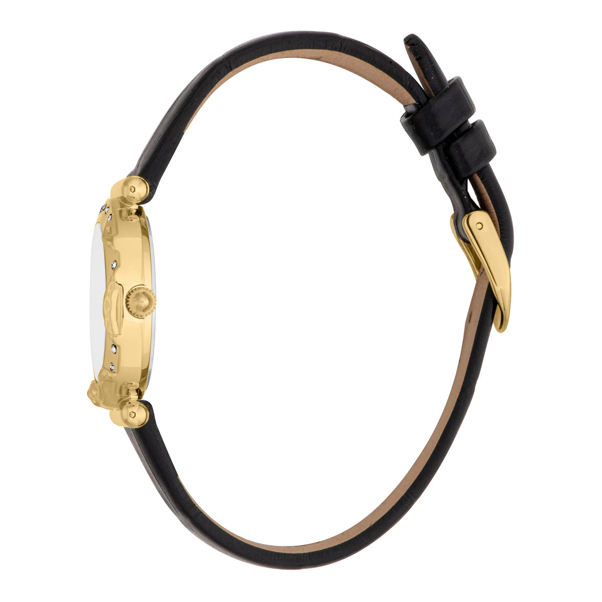 Just Cavalli Just Cavalli Animalier Stella Snake Leather Black YG Silver — immagine 3