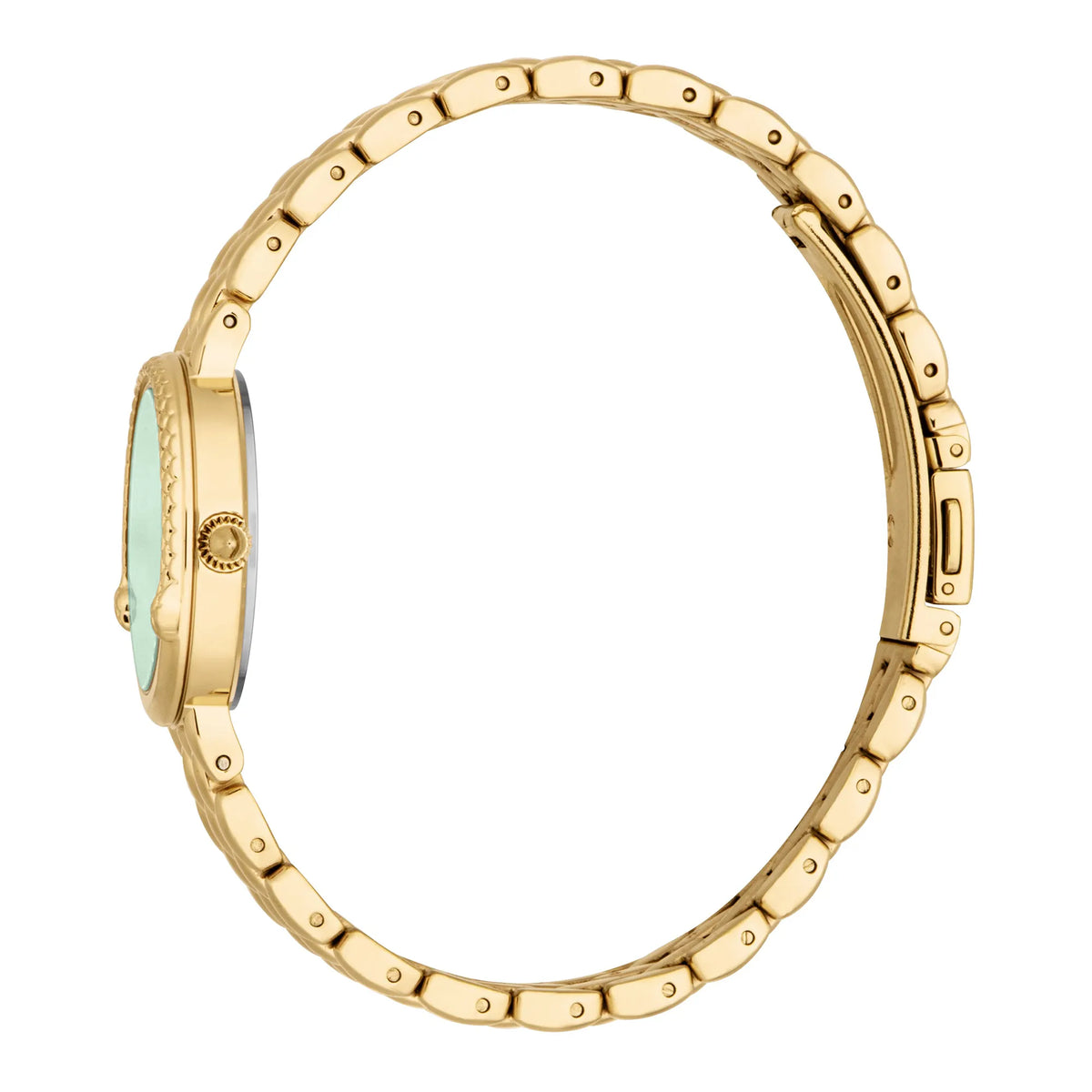 Just Cavalli Just Cavalli Animalier Rosa Snake Yellow Gold Green — immagine 3