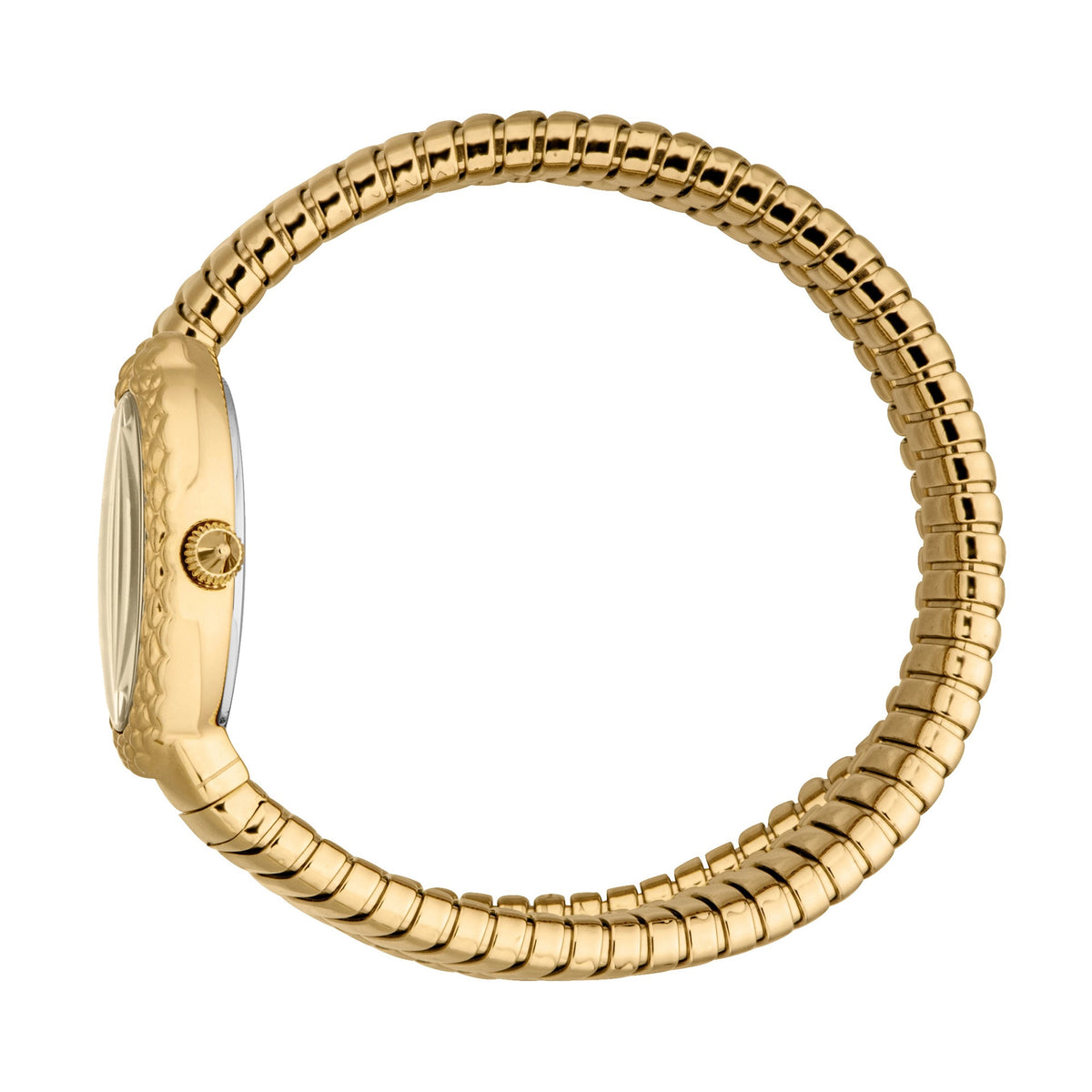 Just Cavalli Just Cavalli Signature Snake Sognia Yellow Gold Champagne — immagine 3