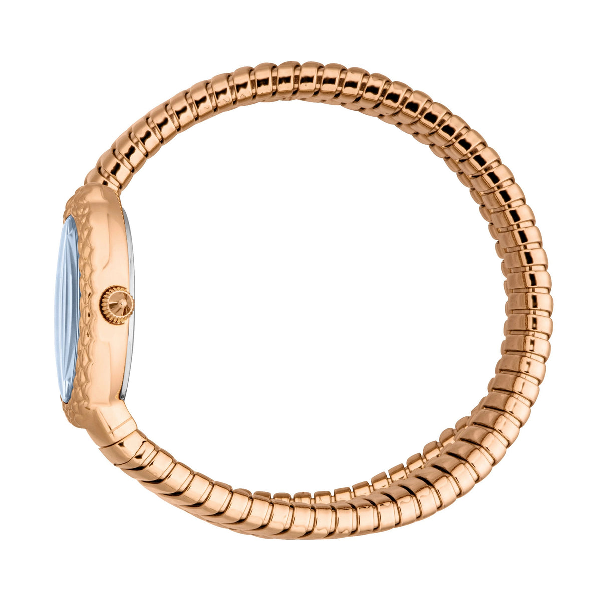 Just Cavalli Just Cavalli Signature Snake Sognia Rose Gold Blue — immagine 3