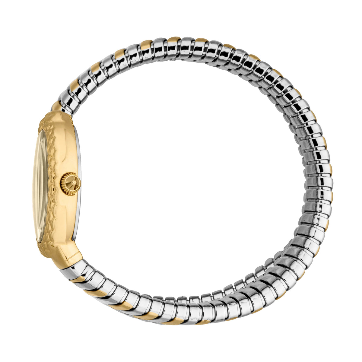 Just Cavalli Just Cavalli Signature Snake Sognia Silver Yellow Gold Champagne — immagine 3