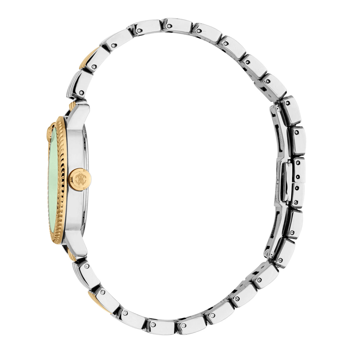 Roberto Cavalli Roberto Cavalli Lady RC5L116M0085 — immagine 3