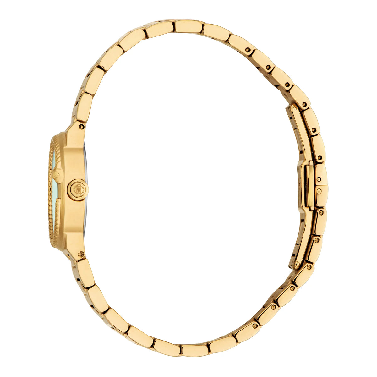 Roberto Cavalli Roberto Cavalli Lady RC5L117M0035 — immagine 3