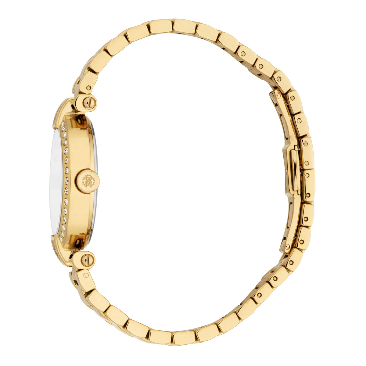 Roberto Cavalli Roberto Cavalli Lady RC5L121M0055 — immagine 3
