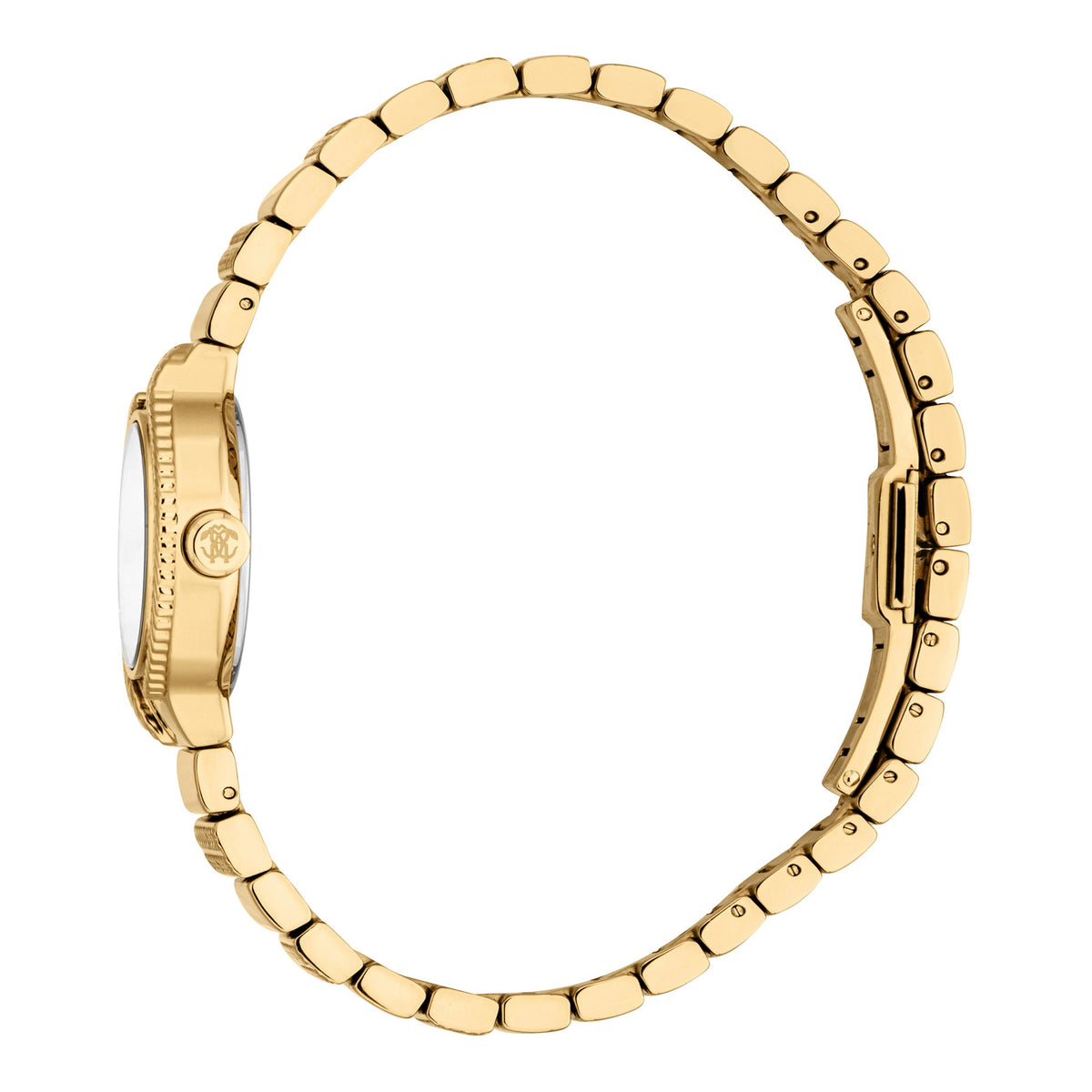 Roberto Cavalli Roberto Cavalli Lady RC5L155M0055 — immagine 3