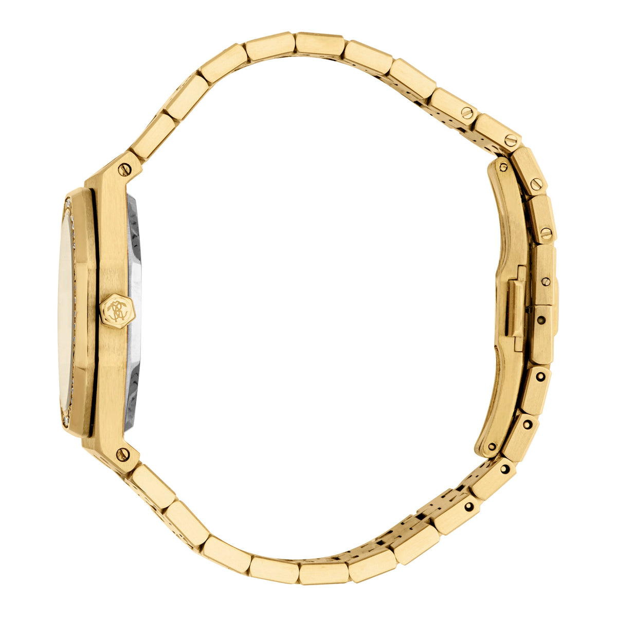 Roberto Cavalli Roberto Cavalli Lady RC5L159M0055 — immagine 3