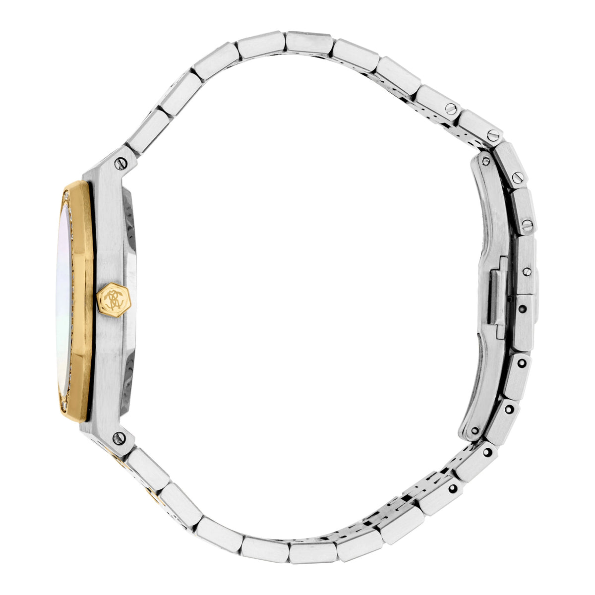 Roberto Cavalli Roberto Cavalli Lady RC5L159M0075 — immagine 3