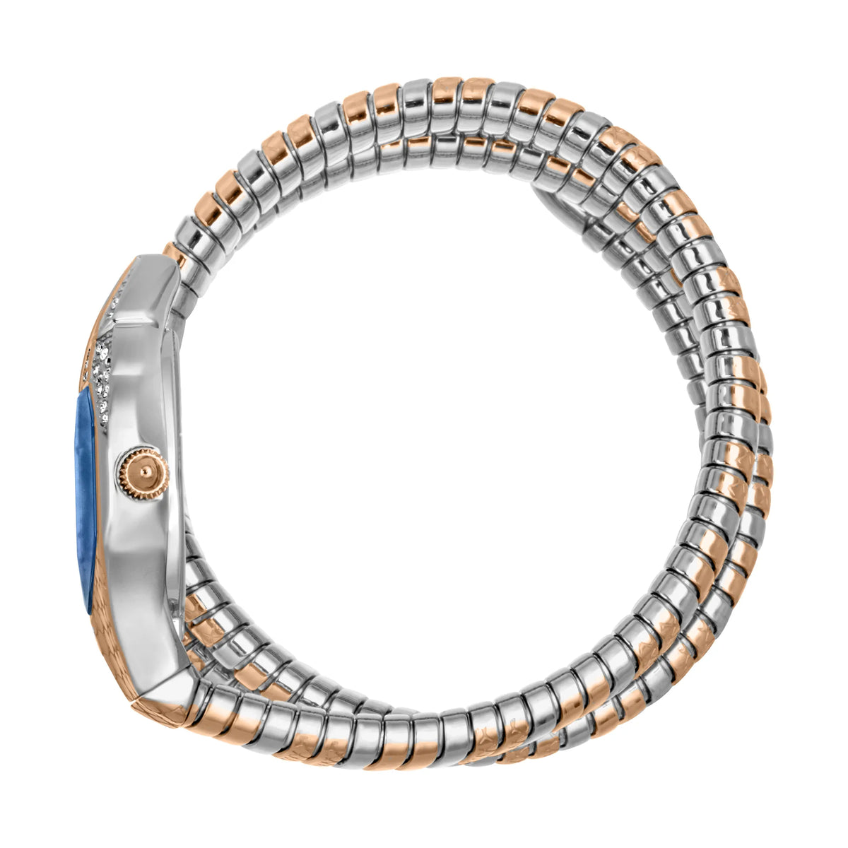 Just Cavalli Just Cavalli Signature Snake Glam Evo 7 Doppio Two Tones RG Blue — immagine 3
