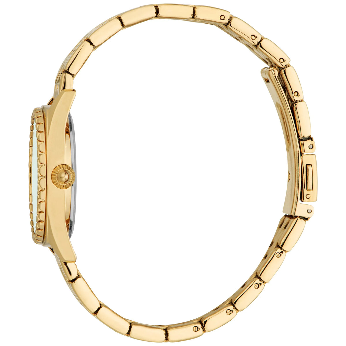 Just Cavalli Just Cavalli SET Indomitable Animalier Yellow Gold Green — immagine 3