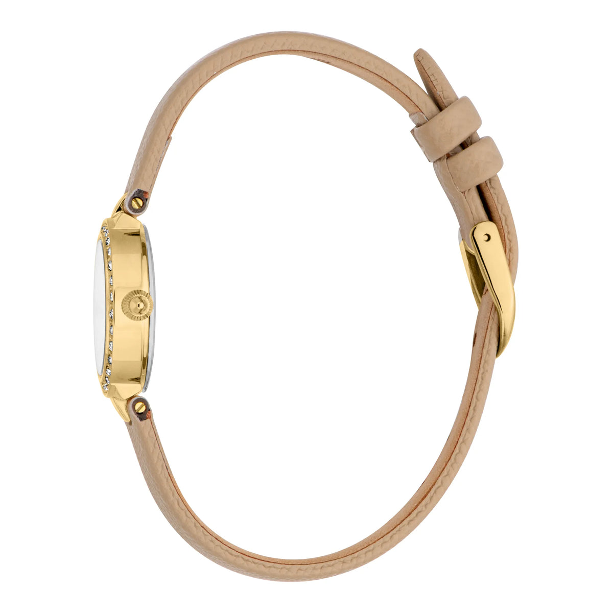 Just Cavalli Just Cavalli Glam Chic Serenita Mini Leather Beige YG Silver — immagine 3