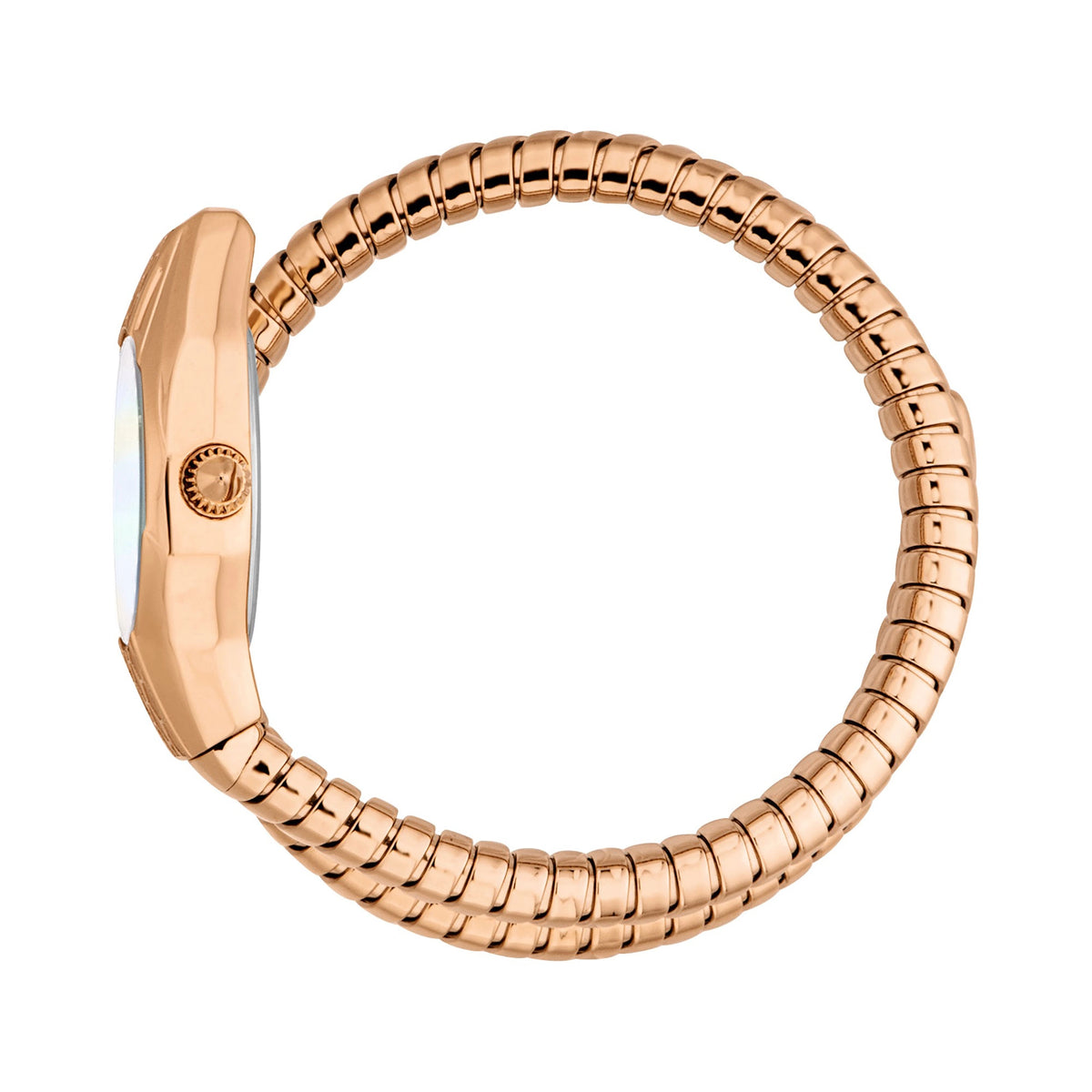 Just Cavalli Just Cavalli Signature Snake Vivace Rose Gold Antique white — immagine 3