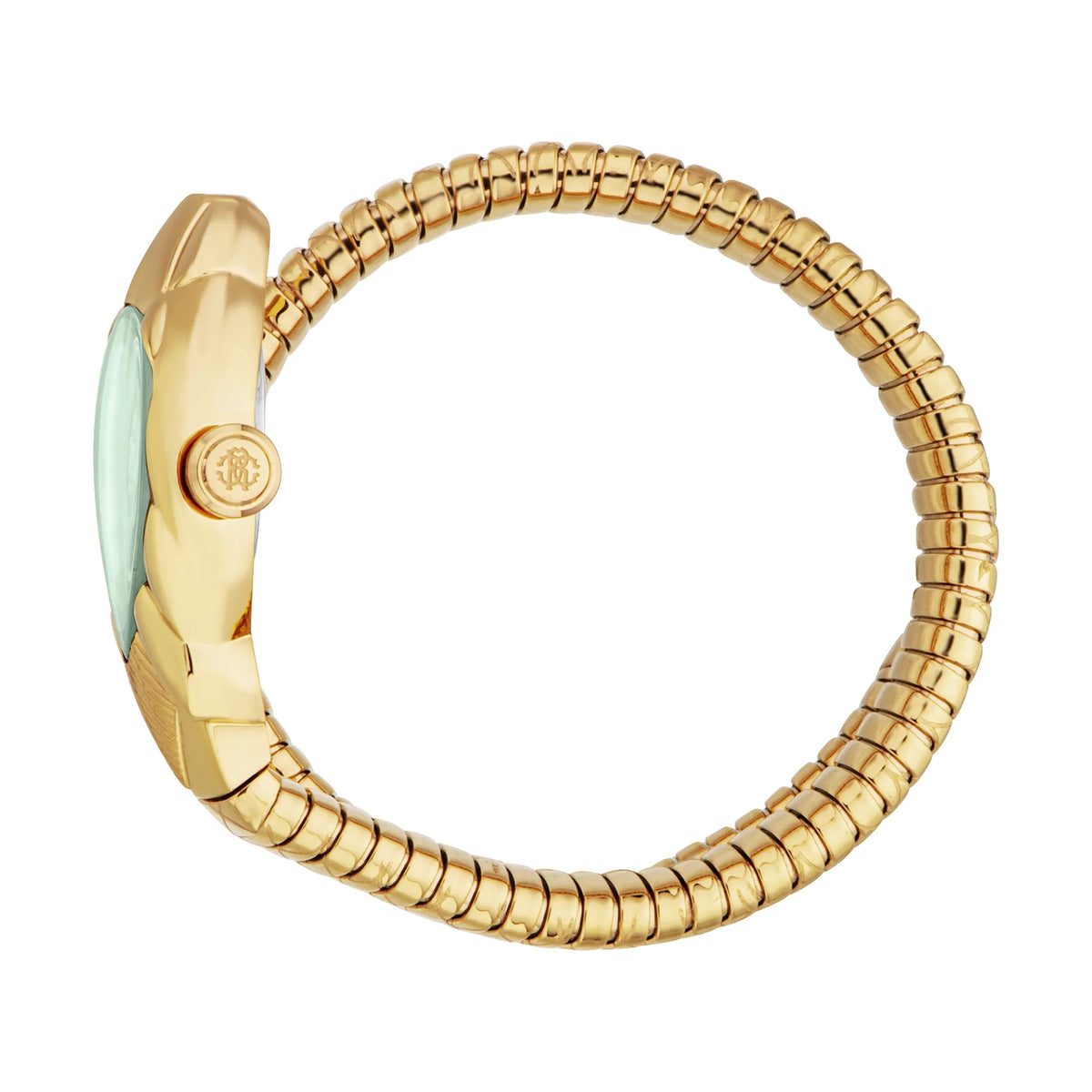 Roberto Cavalli Roberto Cavalli Lady RC5L110M0045 — immagine 3