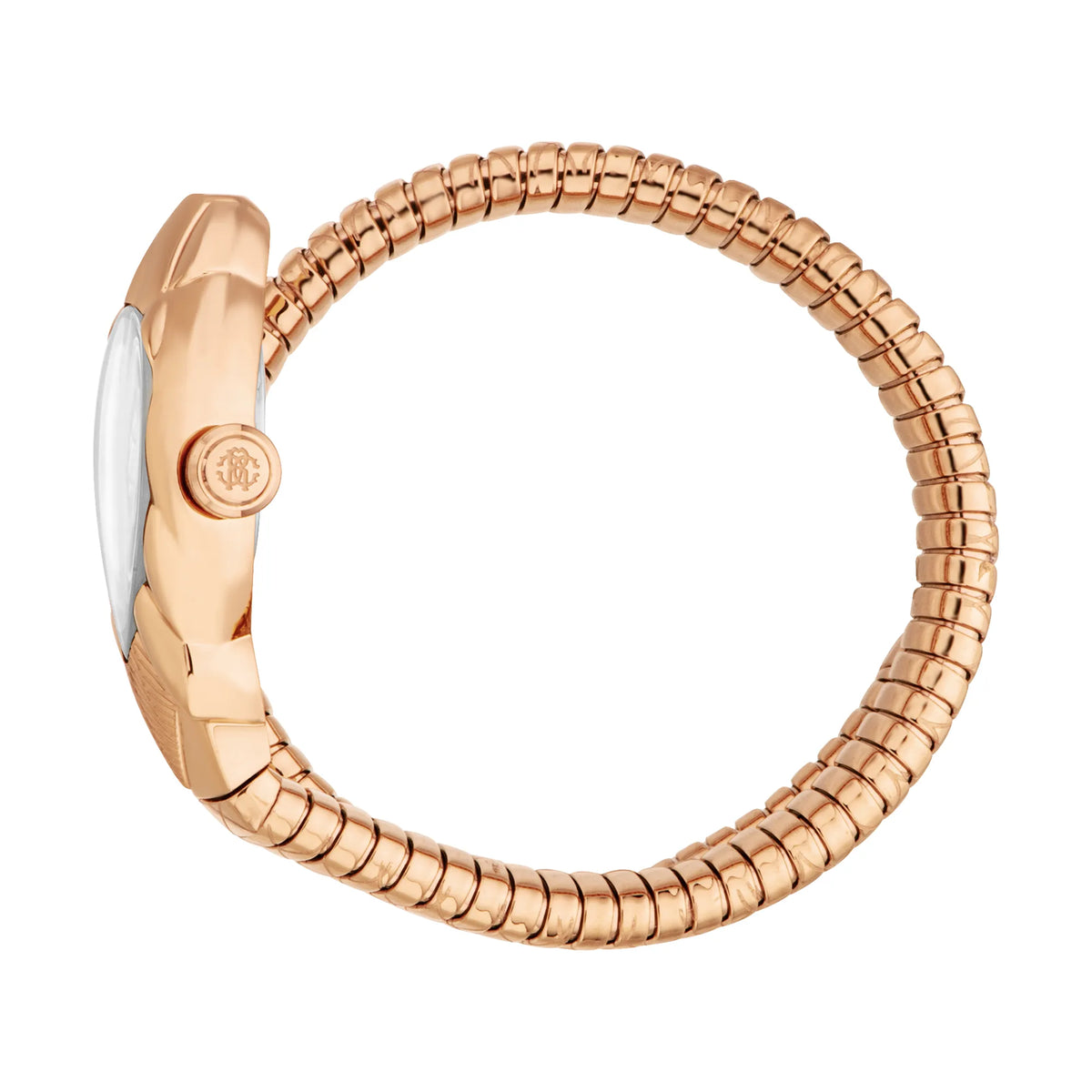 Roberto Cavalli Roberto Cavalli Lady RC5L110M0055 — immagine 3