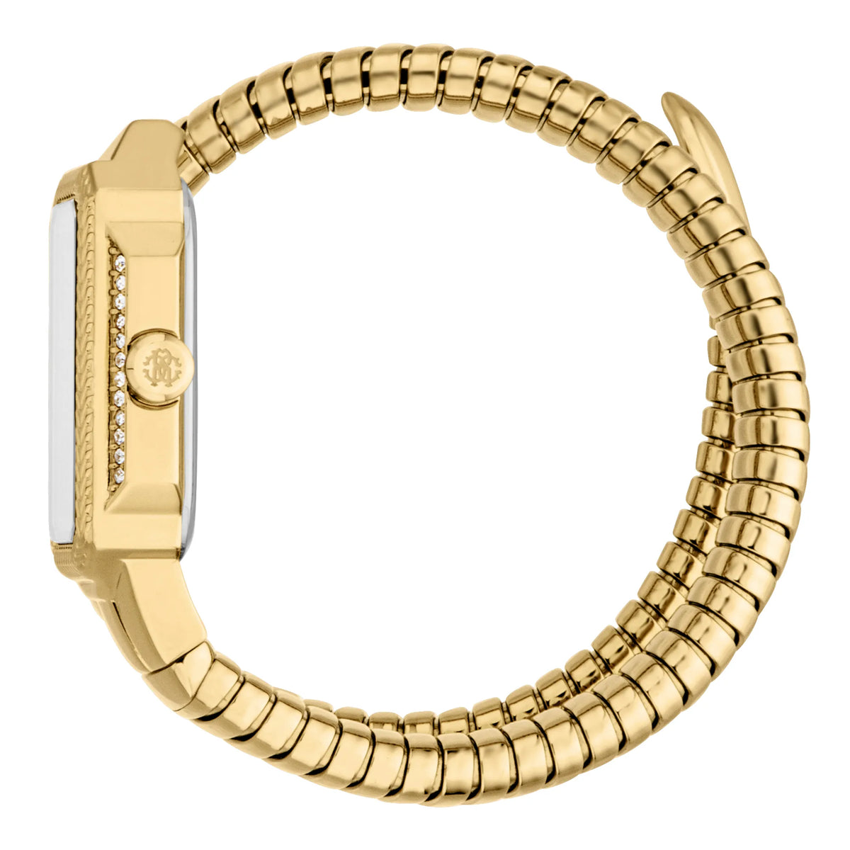 Roberto Cavalli Roberto Cavalli Lady RC5L115M0035 — immagine 3