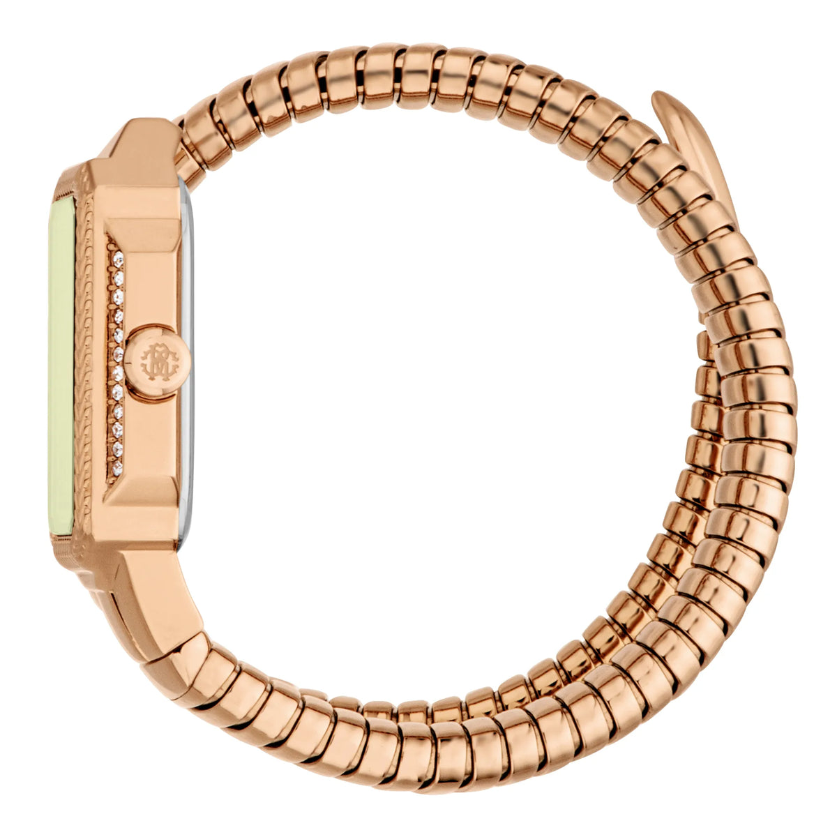 Roberto Cavalli Roberto Cavalli Lady RC5L115M0055 — immagine 3