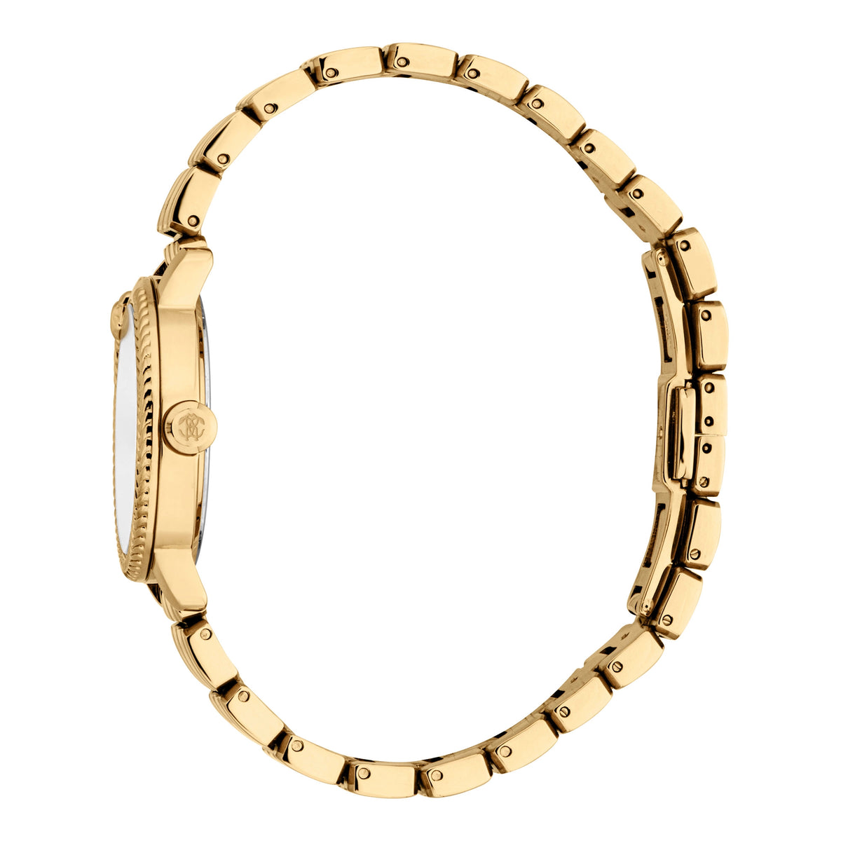 Roberto Cavalli Roberto Cavalli Lady RC5L116M0055 — immagine 3