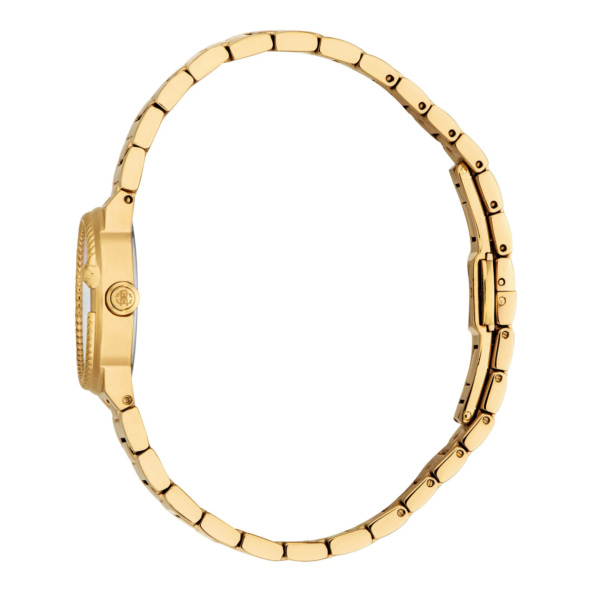 Roberto Cavalli Roberto Cavalli Lady RC5L117M0025 — immagine 3