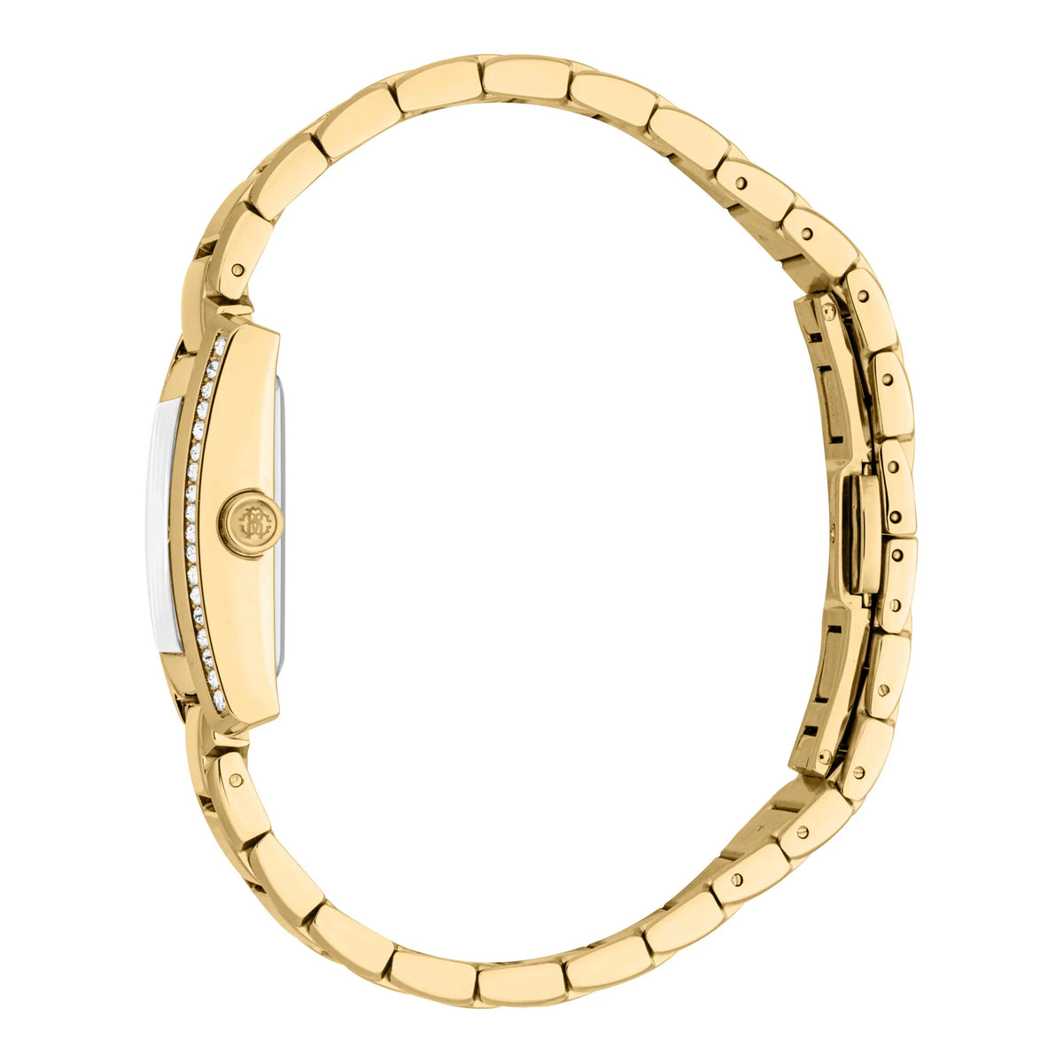 Roberto Cavalli Roberto Cavalli Lady RC5L120M0055 — immagine 3