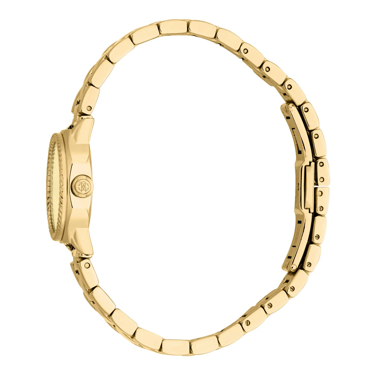Roberto Cavalli Roberto Cavalli Lady RC5L122M0055 — immagine 3