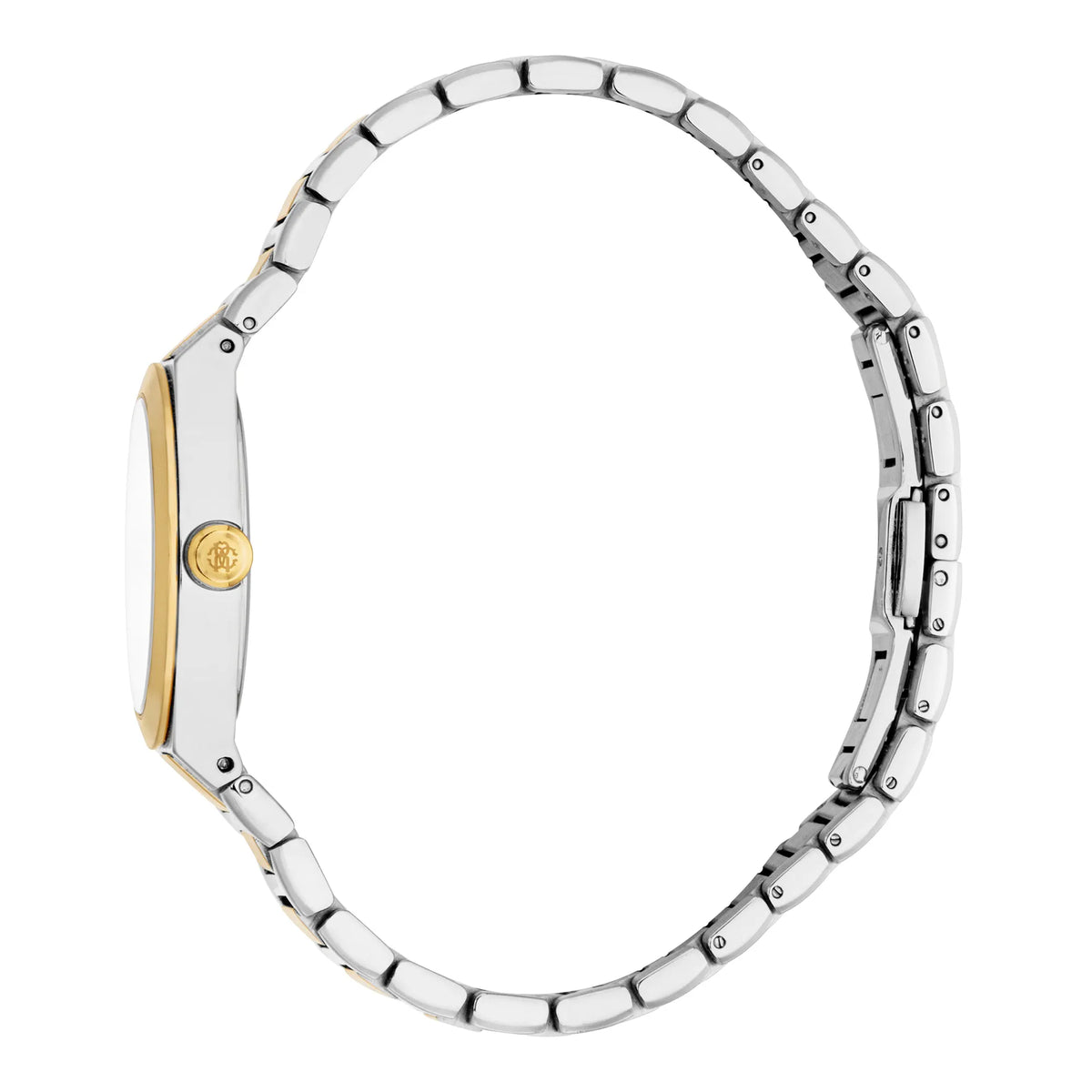 Roberto Cavalli Roberto Cavalli Lady RC5L126M0055 — immagine 3