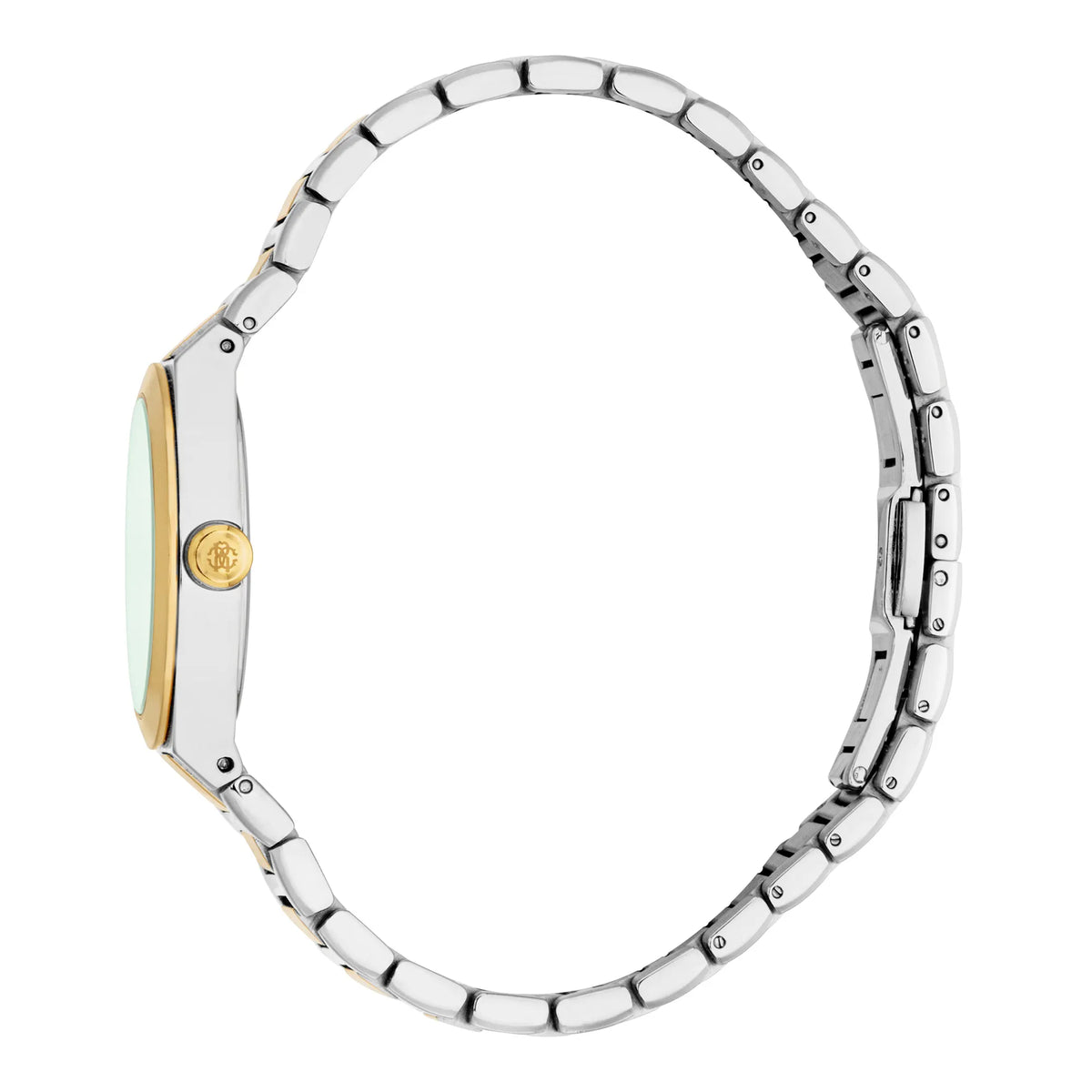 Roberto Cavalli Roberto Cavalli Lady RC5L126M0065 — immagine 3