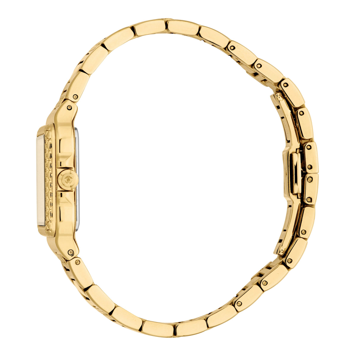 Roberto Cavalli Roberto Cavalli Lady RC5L170M0035 — immagine 3